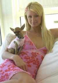 Paris Hilton et son chien !
